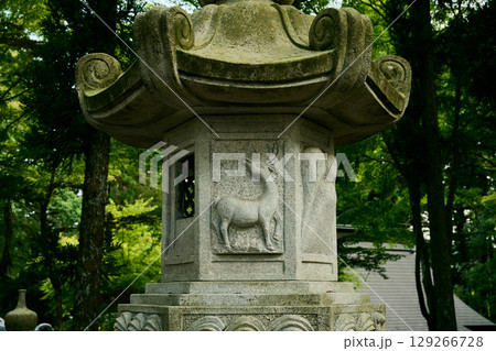 彫刻 石灯籠 神社 鹿の写真素材 - PIXTA