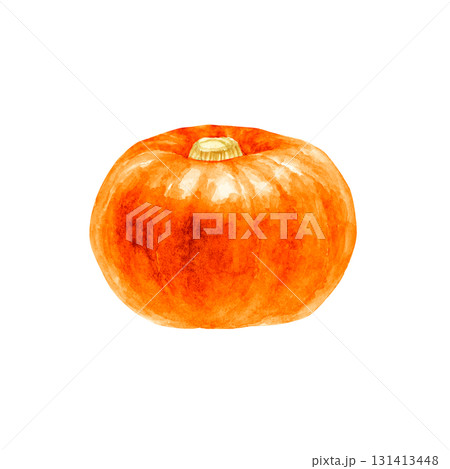 南瓜 かぼちゃ 水彩画 野菜の写真素材 - PIXTA