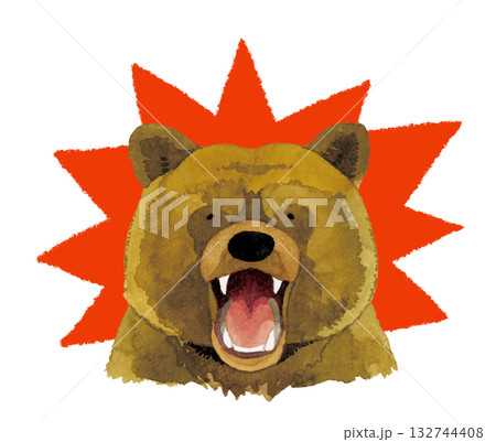 熊 ヒグマ キバ 牙の写真素材 - PIXTA