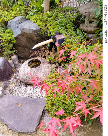 日本庭園 紅葉 もみじ 庭石の写真素材 - PIXTA