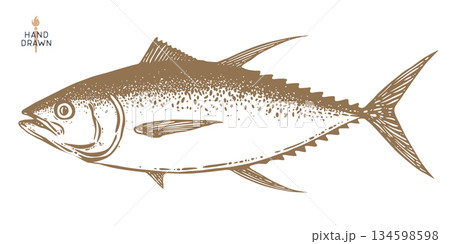木版画 彫り物 魚 スケッチのイラスト素材 - PIXTA