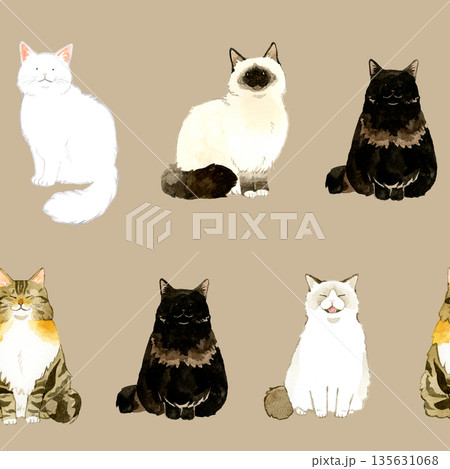 ノルウェージャンフォレストキャットのイラスト素材 - PIXTA