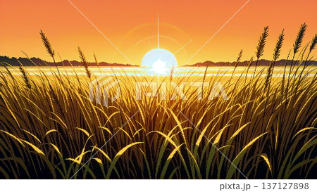 小麦畑のイラスト素材 - PIXTA