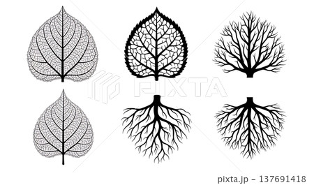 木 樹木 根 根っこのイラスト素材 - PIXTA