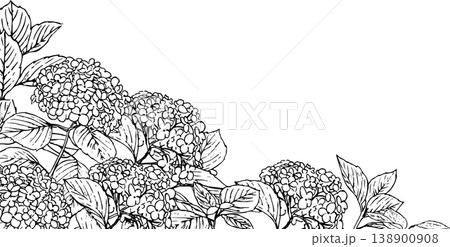 アジサイ 花 白黒 モノクロの写真素材 - PIXTA