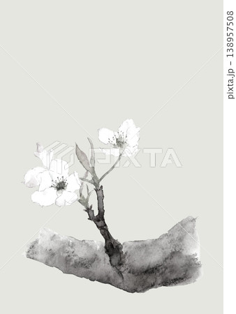 水墨画 花の写真素材 - PIXTA