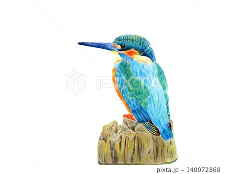 水辺 鳥 カワセミのイラスト素材 - PIXTA