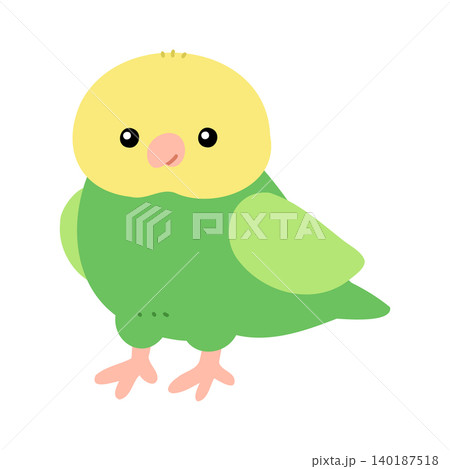 鳥 セキセイインコ 緑色 黄色の写真素材 - PIXTA