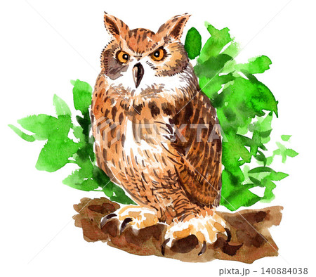 ミミズクのイラスト素材 - PIXTA