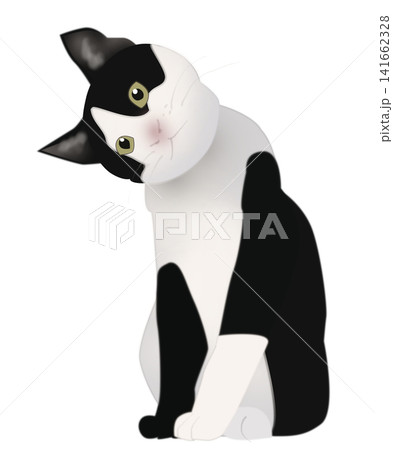 はちわれのイラスト素材 - PIXTA