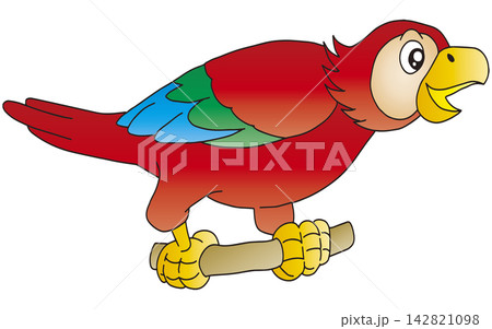 赤コンゴウインコのイラスト素材 - PIXTA